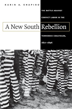 A New South Rebellion