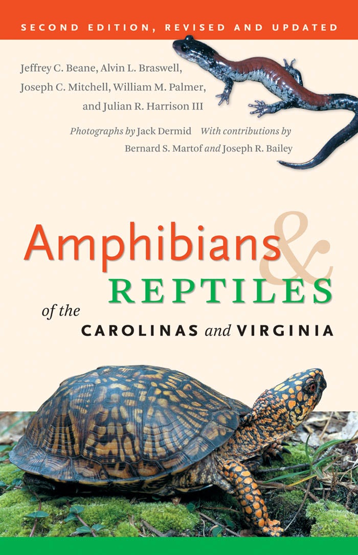 Are reptiles and shops amphibians related