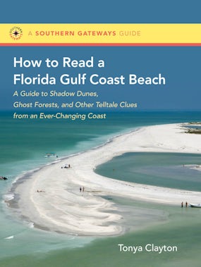 How to Read a Florida Gulf Coast Beach
