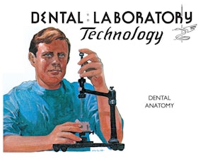 Dental Anatomy