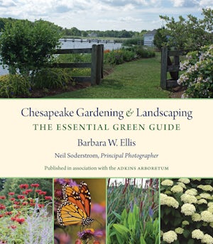 Chesapeake Gardening and Landscaping