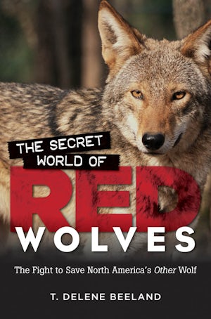 The Secret World of Red Wolves