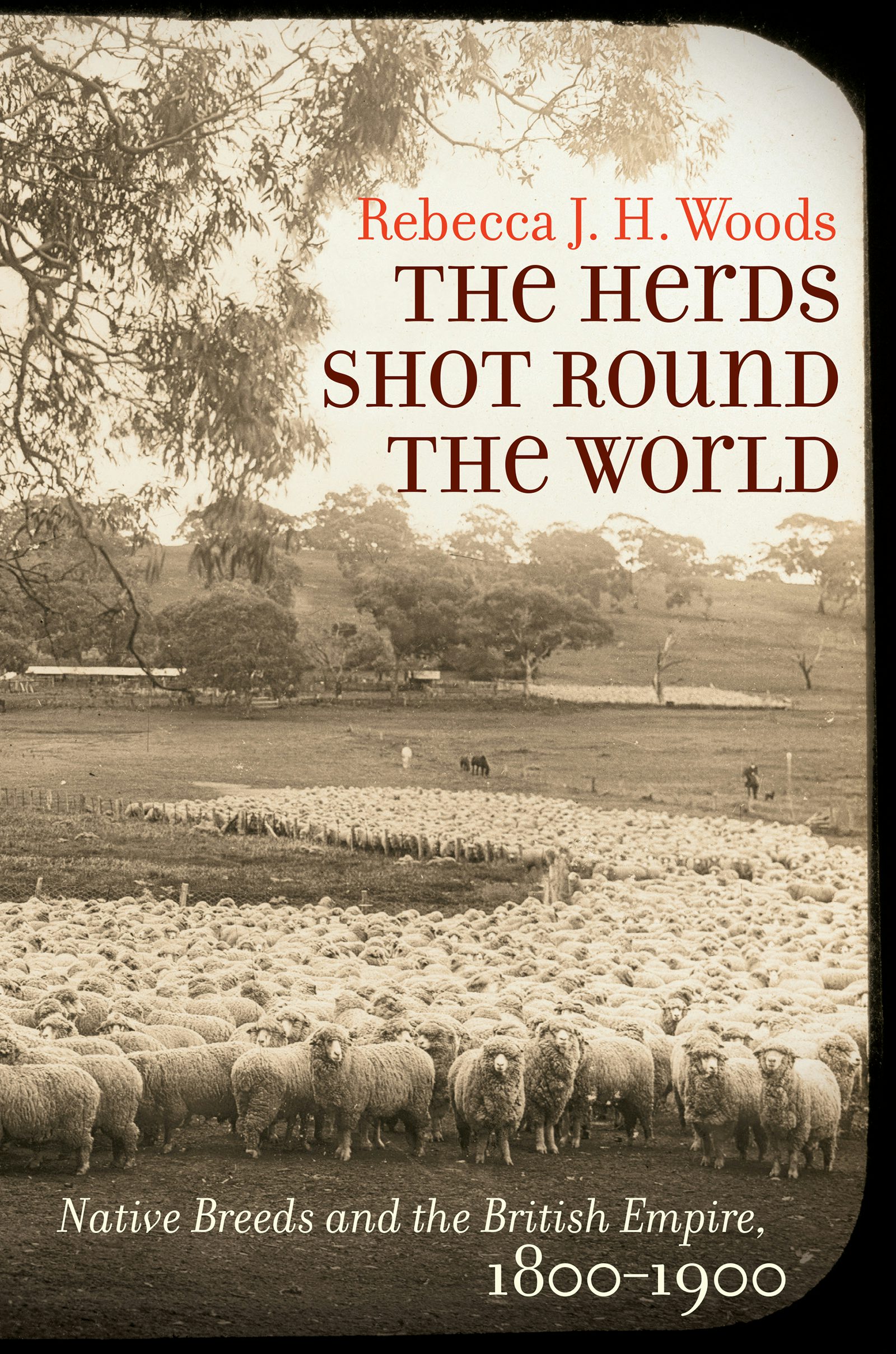 The Herds Shot Round the World | Rebecca J. H. Woods | University