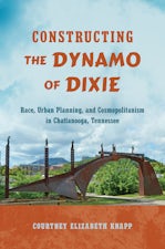 Constructing the Dynamo of Dixie