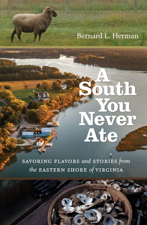 A South You Never Ate Bernard L Herman University Of North Carolina Press