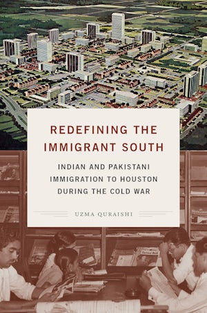 Redefining the Immigrant South