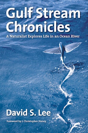 Gulf Stream Chronicles