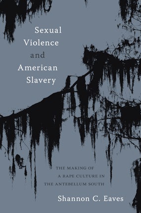 Sexual Violence and American Slavery