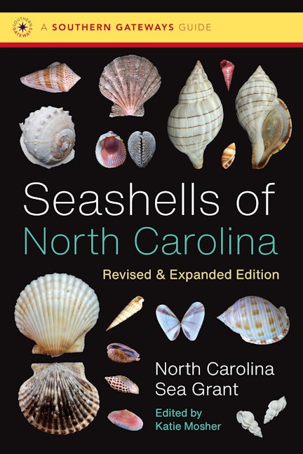 Seashells of North Carolina, Revised and Expanded Edition