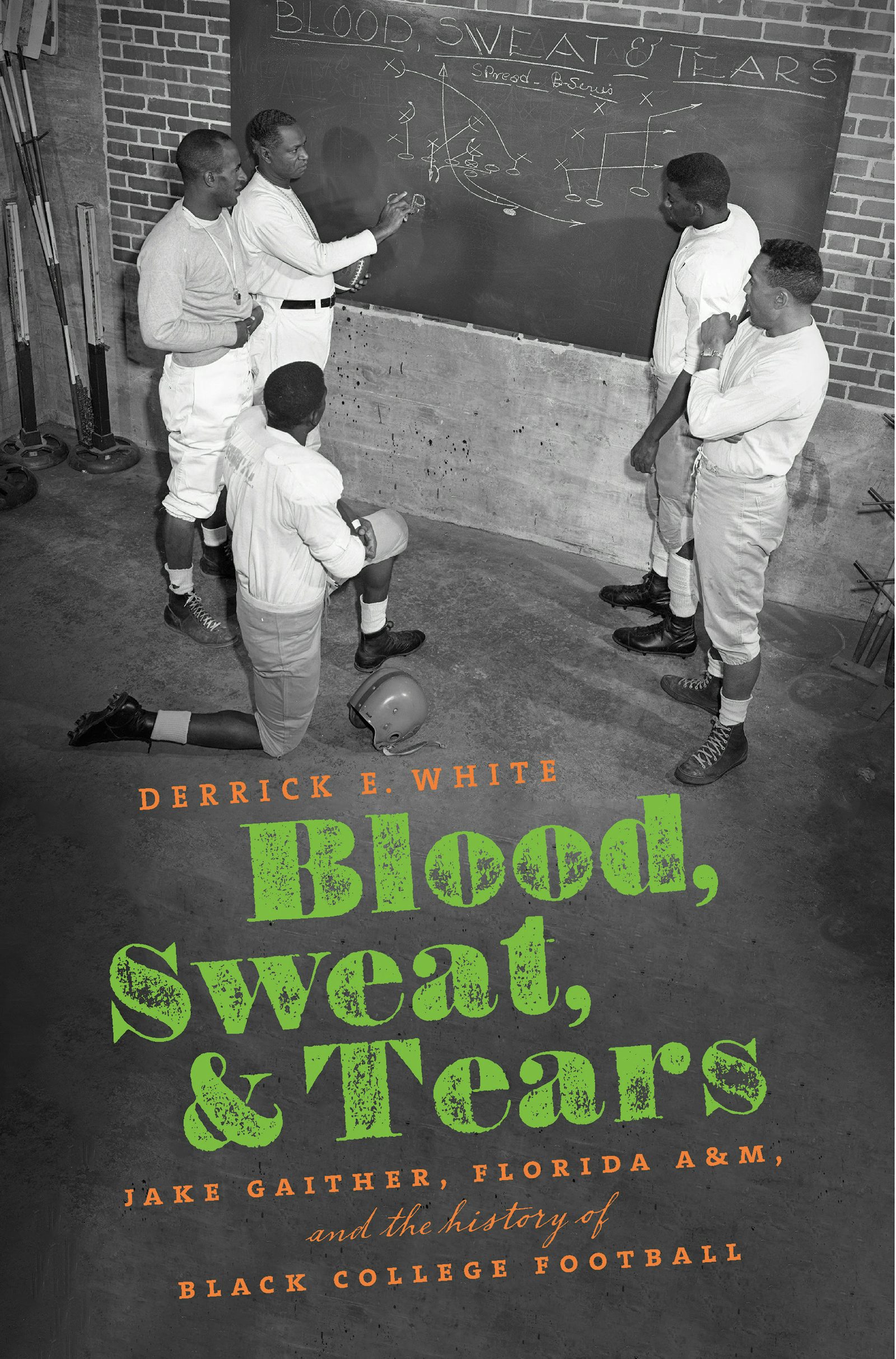 From Cotton Field to Schoolhouse | Christopher M. Span